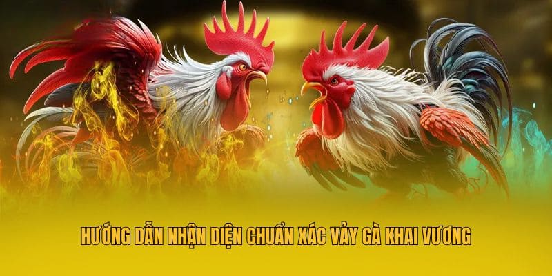 Hướng dẫn nhận diện chuẩn xác vảy gà khai vương